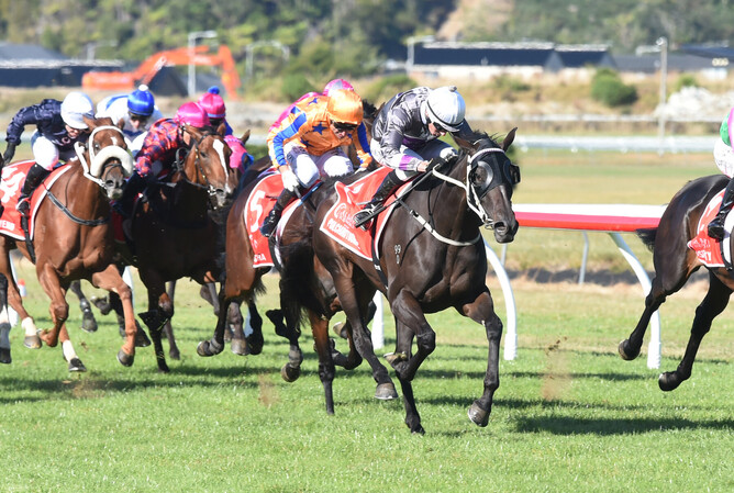 Pulchritudinous and Warren Kennedy soar to Group One Glory in the Al Basti Equiworld Dubai New Zealand Oaks (2400m) at Trentham on Saturday. - Photo: Peter Rubery (Race Images Palmerston North)