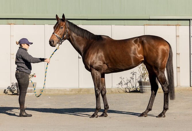 Karman Line - Photo: Supplied