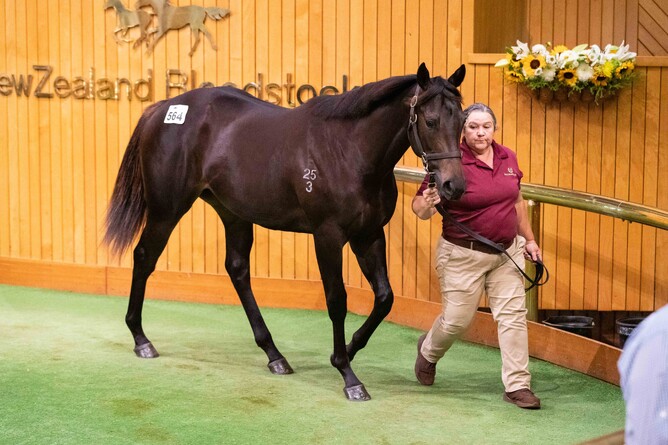 Lot 564 the Proisir full sister to Gr.1 winner Prowess was sold by Hallmark Stud for $1.1 Million to Roger James and Robert Wellwood on Tuesday. - Photo: Glenys Randell