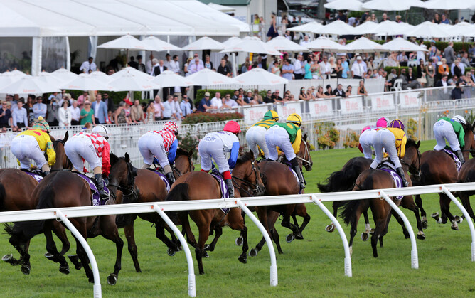 Members of the Auckland Racing Club have voted in favour to merge with Counties Racing Club to form Auckland Thoroughbred Racing Incorporated. Photo: Trish Dunell