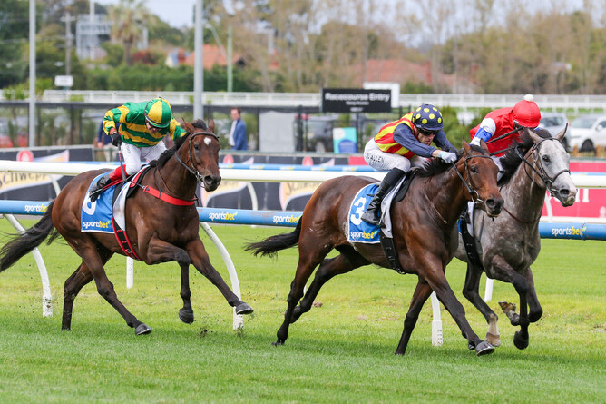 Desperado (closest to camera) gives his all to get in front of Berkshire Breeze at Caulfield. - Photo: Bruno Cannatelli