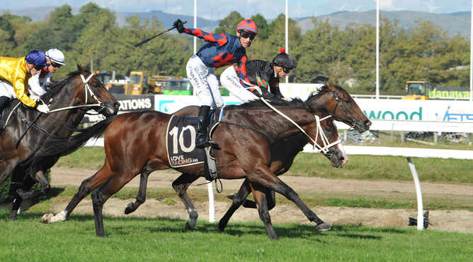 Rider Chris Dell celebrates after guiding Zola Express to victory in the Gr.2 City Of Palmerston North Awapuni Gold Cup (2000m) Photo Credit: Race Images – Peter Rubery