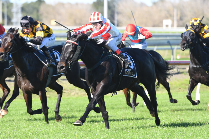 Agey Babe on her way to winning at Pukekohe. - Photo: Race Images