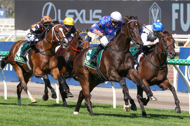Feroce defeated Savaglee in the Gr.1 VRC Australian Guineas. - Photo: Bruno Cannatelli