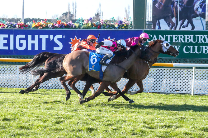 Major Tom gets his head in front to win the Gr.3 Winter Cup. Photo: Race Images South