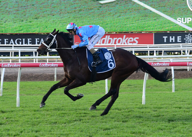 Manzoice ended a long drought in style, charging up the rail to win the Group 3 Tattersall's Cup (2400m)   - Photo: Grant Peters