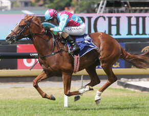 Surgenor comes up roses at Ellerslie