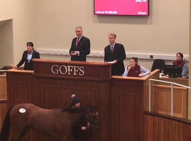 Sam acting as a bid spotter the Doncaster sale