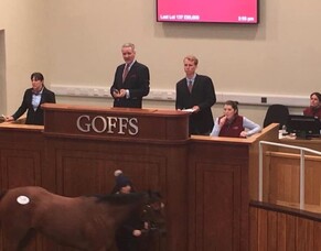 Scholarship Blog: Sam Bergerson