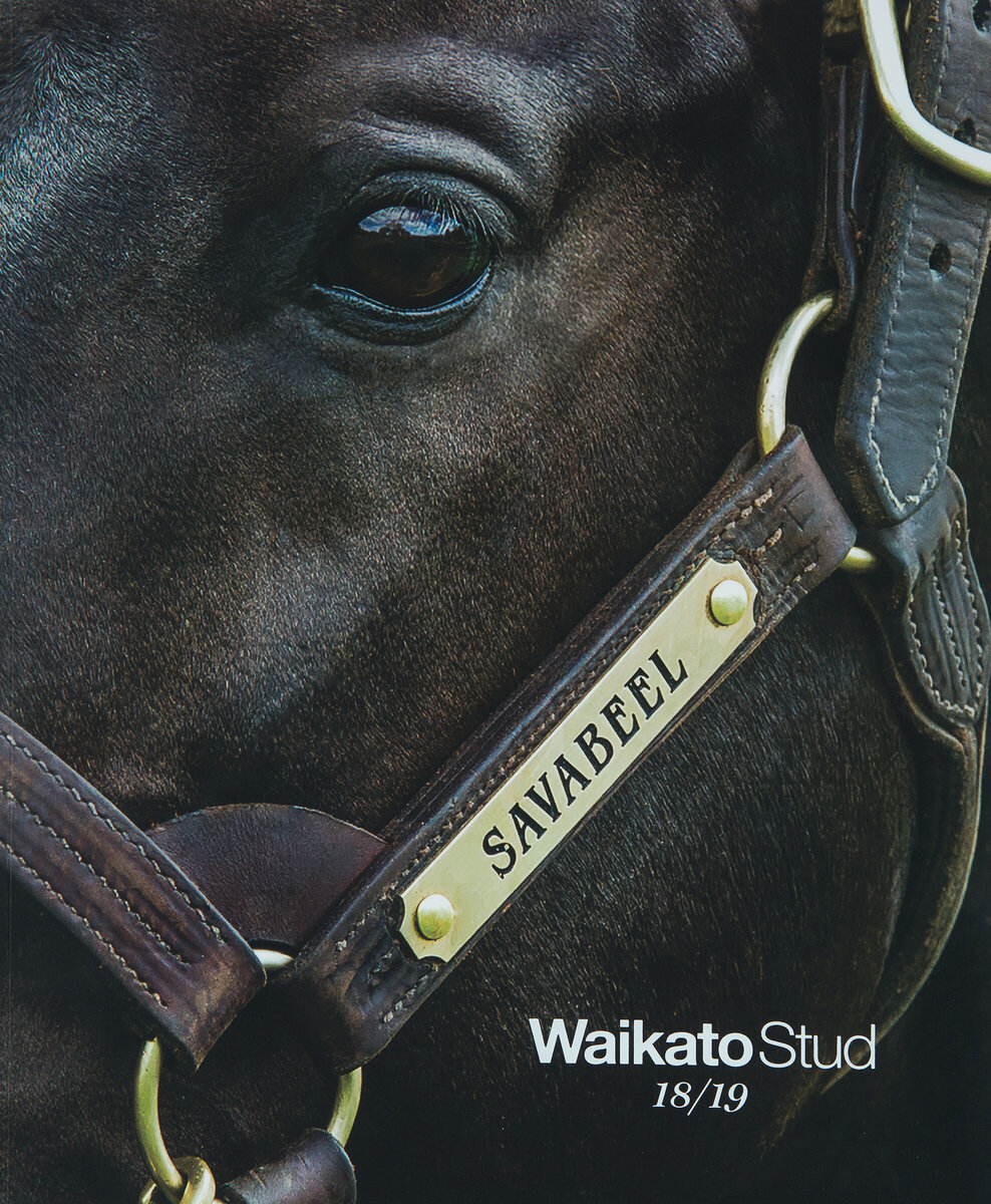 Matamata Thoroughbred Catalogue Wins Major Industry Award New Zealand