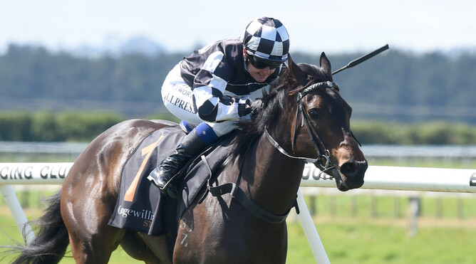Darci La Bella claims stakes success in the Gr.3 Grangewilliam Stud Taranaki Breeders’ Stakes (1400m) - Photo: Race Images