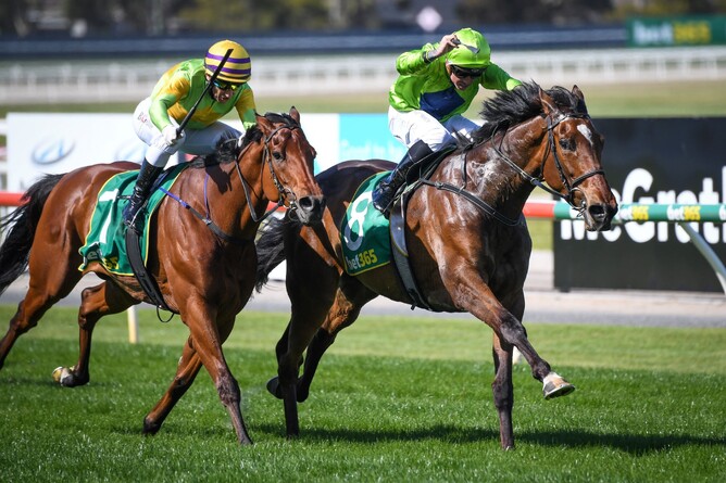 Tralee Rose (inside) winning Wednesday’s Gr.3 Geelong Cup (2400m) Photo: Reg Ryan – Racing Photos
