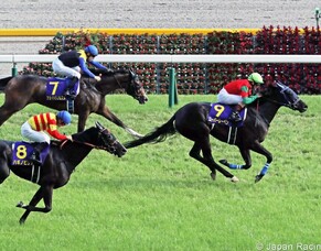 Zabeel influence found in Japanese Oaks win