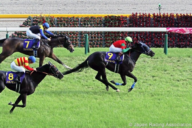 Uberleben winning the Grade 1 Yushun Himba. - Photo: Japan Racing Association