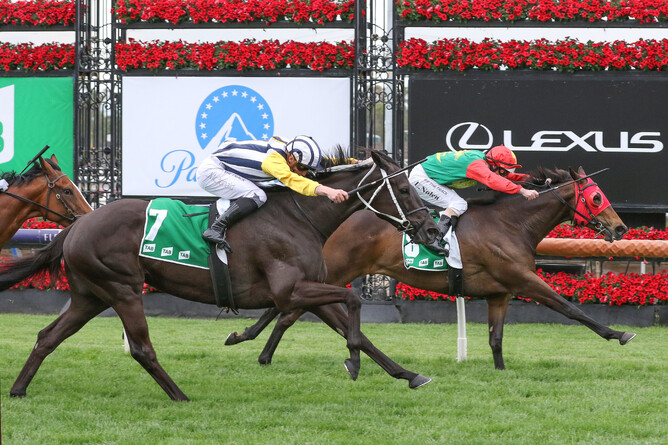 Zayydani defeats fellow New Zealand-bred mare Our Intrigue at Flemington Photo Credit: Bruno Cannatelli