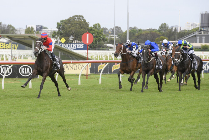 Verry Elleegant's take on social distancing as she puts paid to her rivals in the Gr.1 Tancred Stakes at Rosehill. Photo: bradleyphotos.com.au