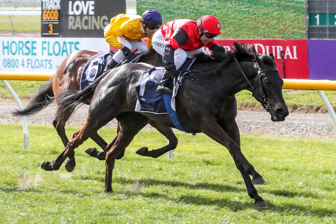 Matchmaker (Makfi(GB) - Love Somebody) wins the Listed Canterbury Belle Stakes at Riccarton - picture Race Images South