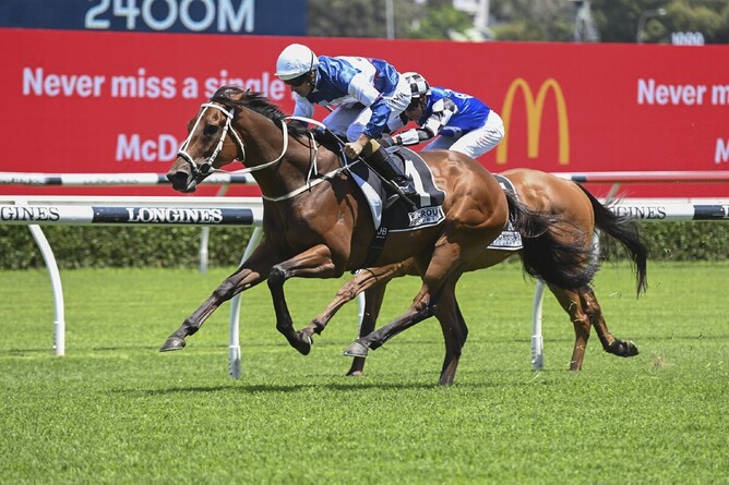 Mightybeel is in charge at the finish of the Listed Christmas Cup (2400m) at Randwick Photo: Bradleyphotos.com.au