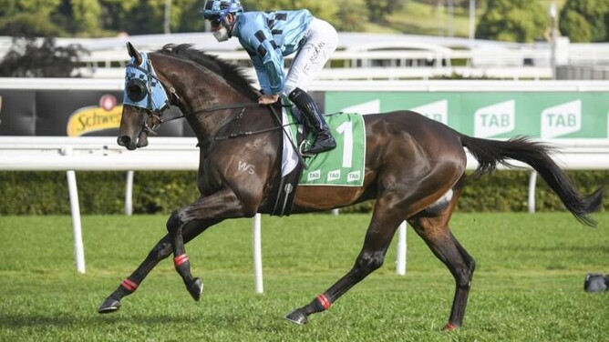 Mo’Unga was one of five Group One winners this season bred by Waikato Stud  - Photo: bradleyphotos.com.au