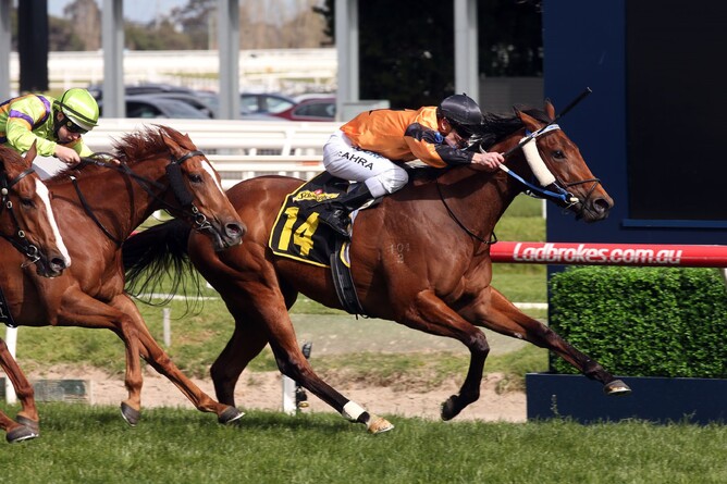 Legless Veuve - Image Mark Gatt