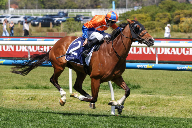 Grinzinger Belle powers to victory in the Gr.3 Catanach's 150 Years Vase (1600m) at Caulfield on Saturday. - Photo: Bruno Cannatelli