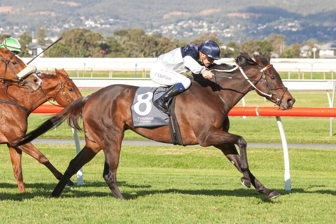 Thought Provoking enjoys stakes success at Morphettville - Photo: Atkins Photography