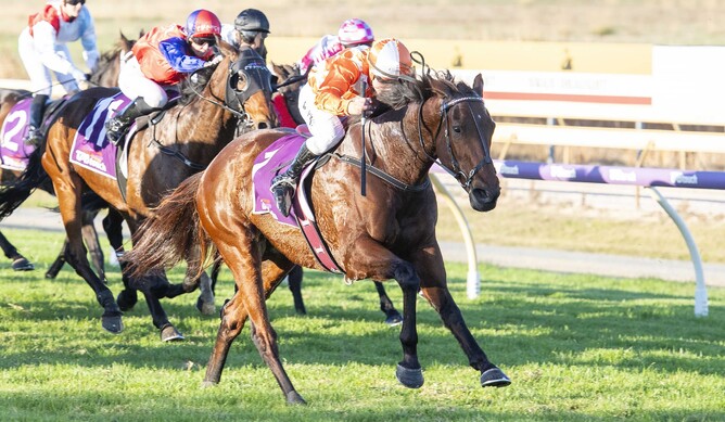 Western Empire broke the A$3 million barrier in career earnings when taking out Saturday’s Gr.3 Hyperion Stakes (1600m) at Pinjarra.  - Photo: Western Racepix