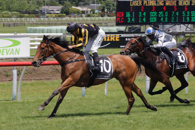Rising Star winning at Tauranga - Photo: Trish Dunell