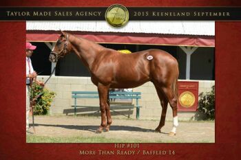 Lot 101 sold for $750,000