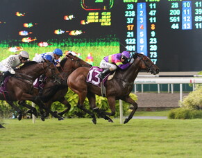 Crofskey's add another stakes win to their count