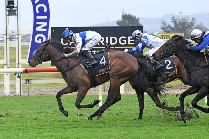 Tajana winning the Gr.3 Northland Breeders’ Stakes (1200m) at Ruakaka on Saturday.  - Photo: Therese Davis (Race Images)
