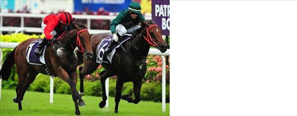 Spalato (inner) takes out the Singapore Group 1 Patron's Bowl - Picture NZTM website