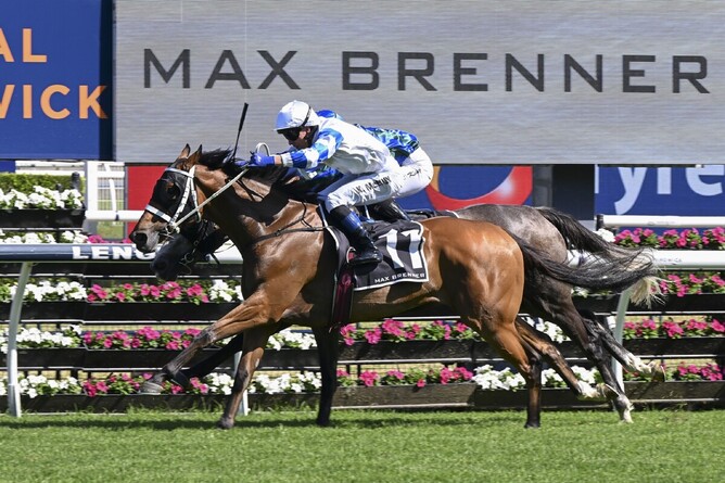 Kadavar maintained his perfect record over 2400m with a strong win in the Listed Christmas Cup (2400m) at Randwick - Photo: bradleyphotos.com.au