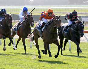 Oaks victory a boost for NZTBA members&#039; broodmare Special Memories