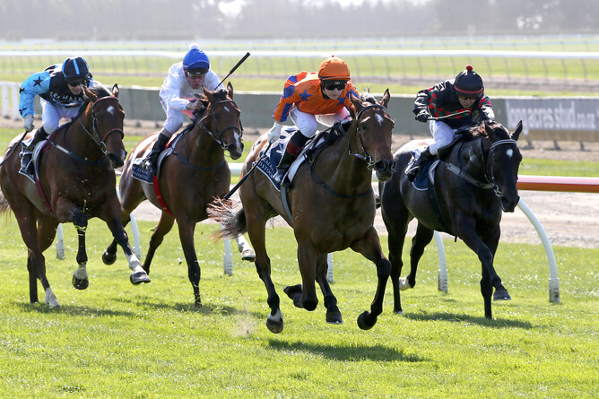 Special Memories sister to recent G1 Australian Oaks winner Unforgotten