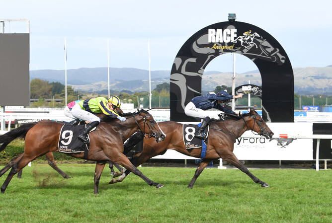 Pignan crosses the line in front of her rivals to win the Gr.1 Manawatu Sires' Produce Stakes. - Photo: Race Images