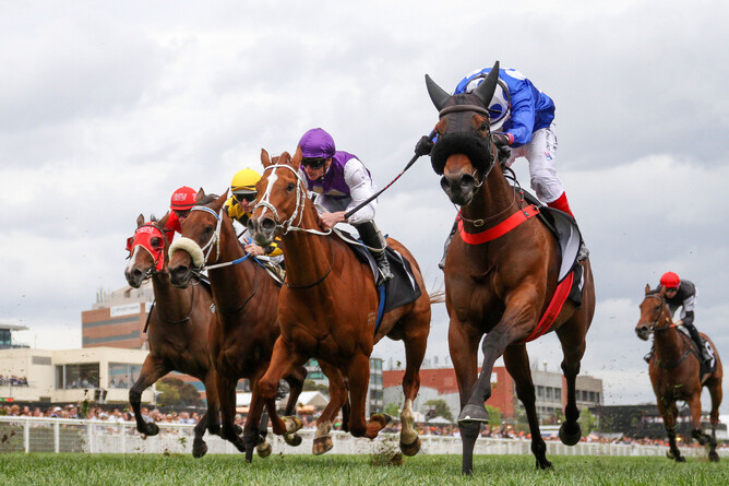 Wrote To Arataki lands the Gr.2 Tristarc Stakes (1400m) at Caulfield on Saturday. - Photo: Bruno Cannatelli
