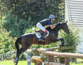 Thoroughbreds come up aces at Kihikihi