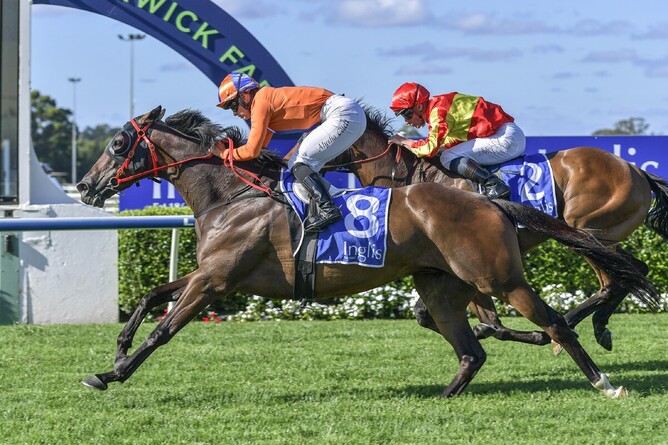 Kaapfever winning the Listed Australia Day Cup (2400m) at Warwick Farm on Wednesday. - Photo: bradleyphotos.com.au