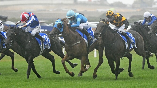 Crocetti winning the Gr.1 Sistema Railway (1200m) at Ellerslie on Saturday. - Photo: Kenton Wright (Race Images)