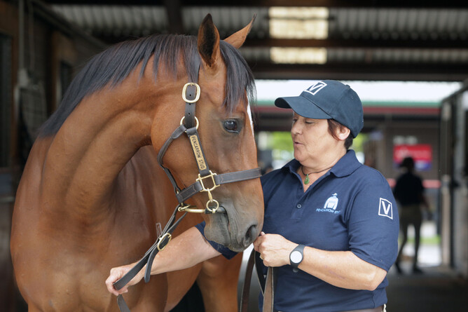 Lot 565 – The Snitzel filly out of Echezeaux. Photo: Trish Dunell