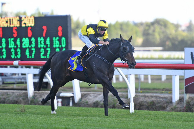 The Fearless One is an exciting prospect for Grangewilliam Stud sire The Bold One. - Photo: Race Images