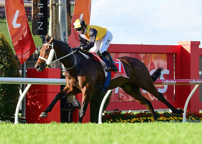Special Swey takes out the Gr.3 Rough Habit Plate (2000m) in spectacular style - Photo: Grant Peters