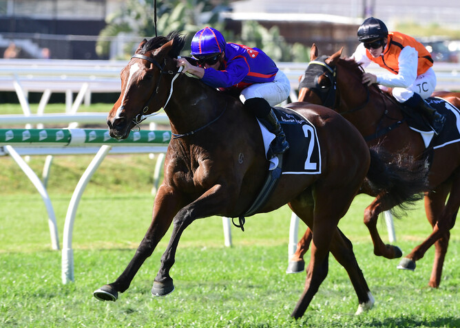 Ayrton winning the Gr.3 Gunsynd Classic (1600m) at Eagle Farm on Saturday.  - Photo: Grant Peters