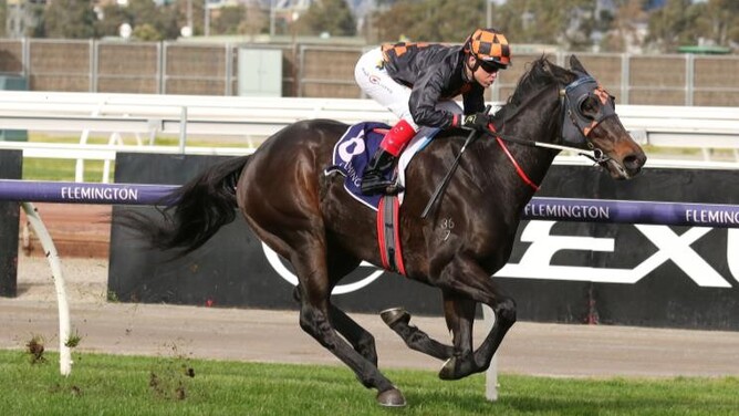 Horrifying and Craig Williams head to the winning post at Flemington as they take out the Flemington Cup 1849 (2800m)  - Photo: Bruno Cannatelli