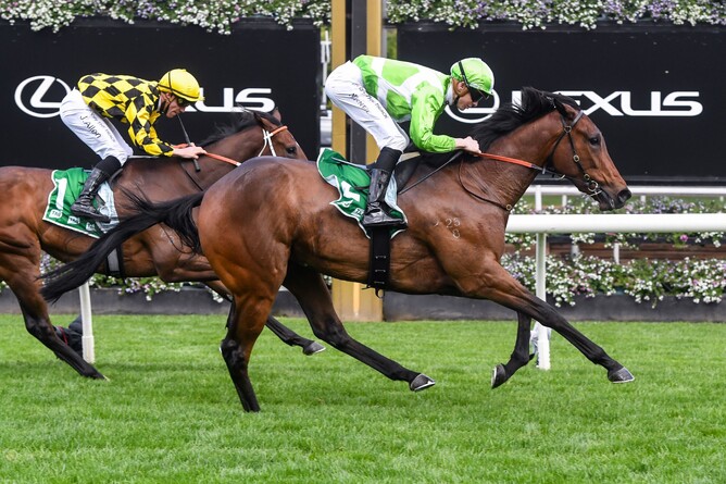 Elusive Express and Jye McNeil take out the Gr.2 Edward Manifold Stakes (1610m) at Flemington Photo Credit: Brett Holburt