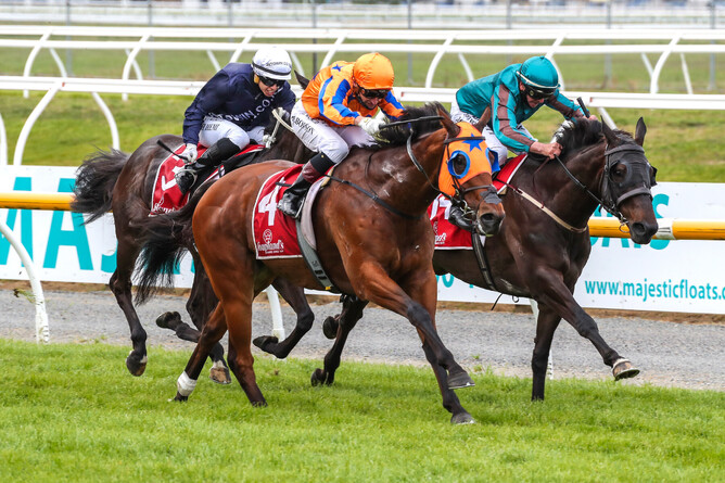 Markus Aurelius lengthens stride under Opie Bosson - Photo: Race Images South