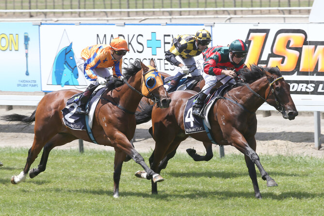 Group One winner Summer Passage (inside) will stand at Mapperley stud this coming breeding season. - Supplied