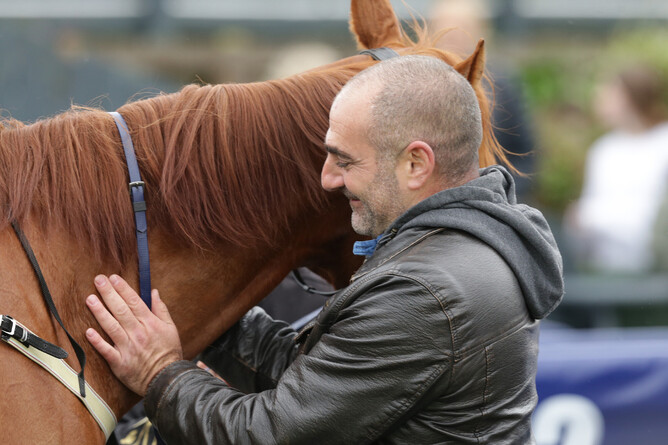 Daniel Nakhle greets his latest big winner Crocetti back to the Ruakaka winner’s stall  - Photo: Trish Dunell