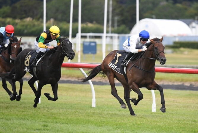 Savaglee winning Saturday’s Gr.2 Levin Classic (1400m) at Trentham.   - Photo: Peter Rubery (Race Images)